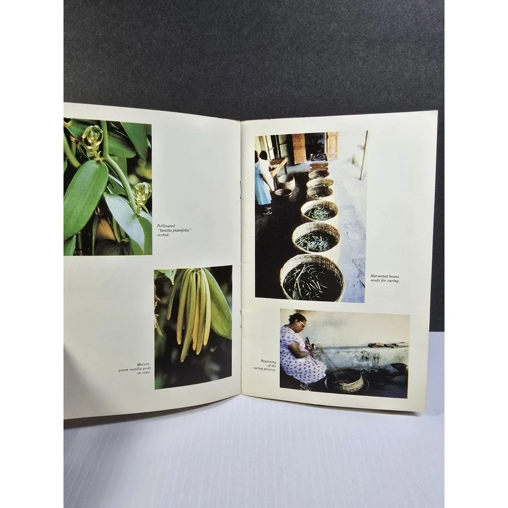The Story of Vanilla, Educational Paperback Book By Chat Nielsen Jr. With Photos